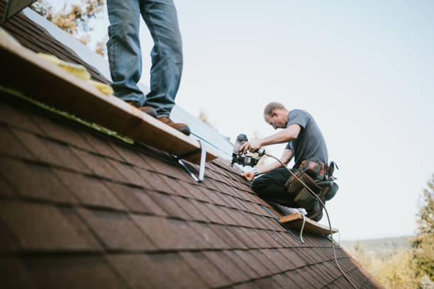 Quick and Trustworthy Emergency Roof Repair Services in Edgewood, FL